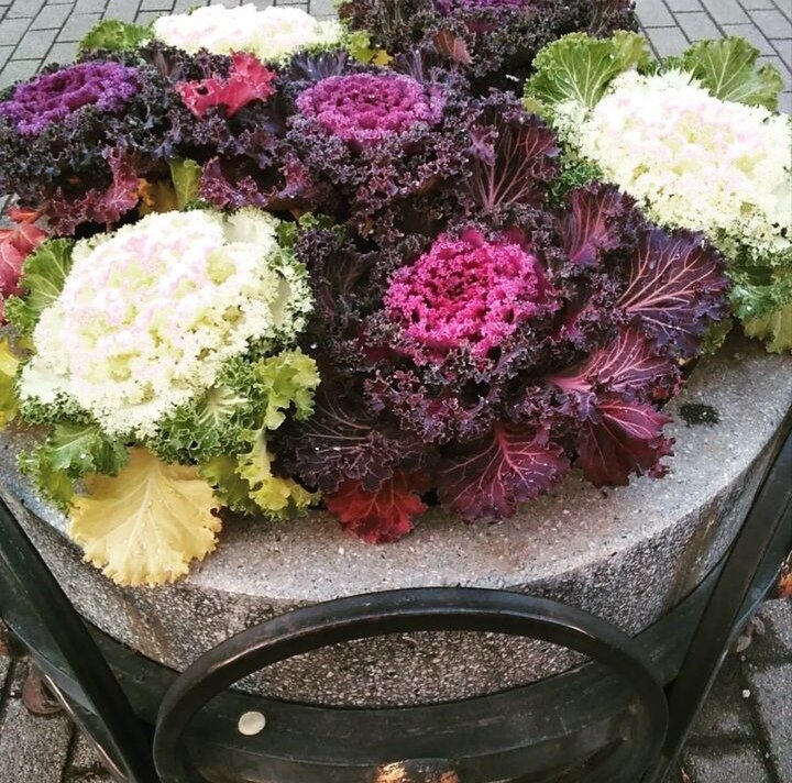 Личное фото