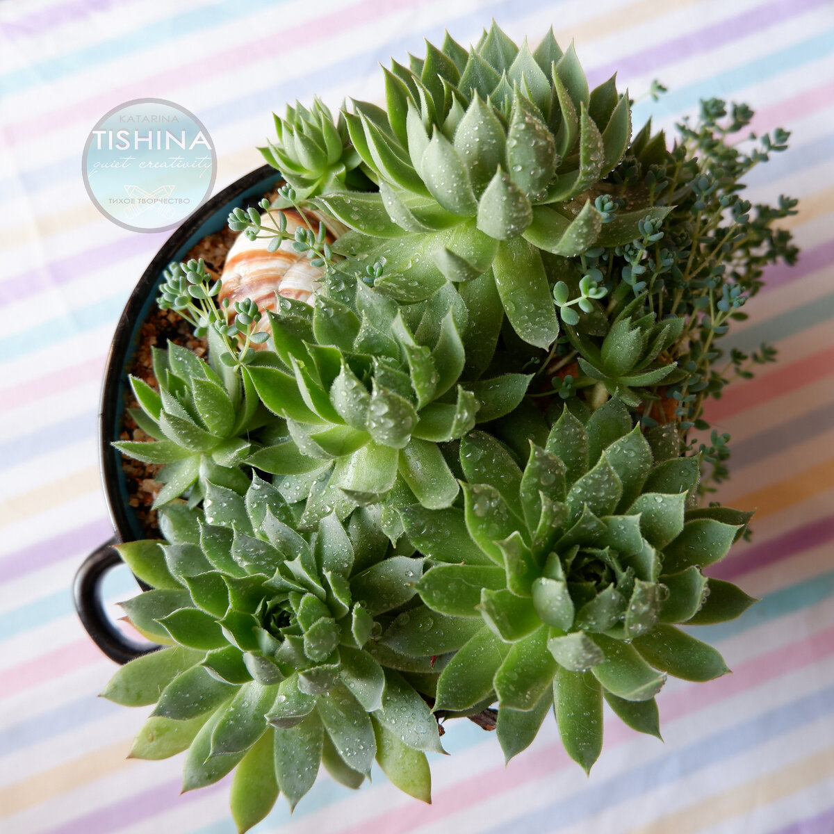 Листайте галерею, чтобы увидеть больше изображений.