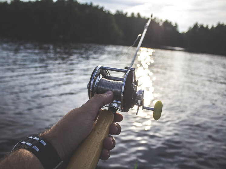     Фото: unsplash.com