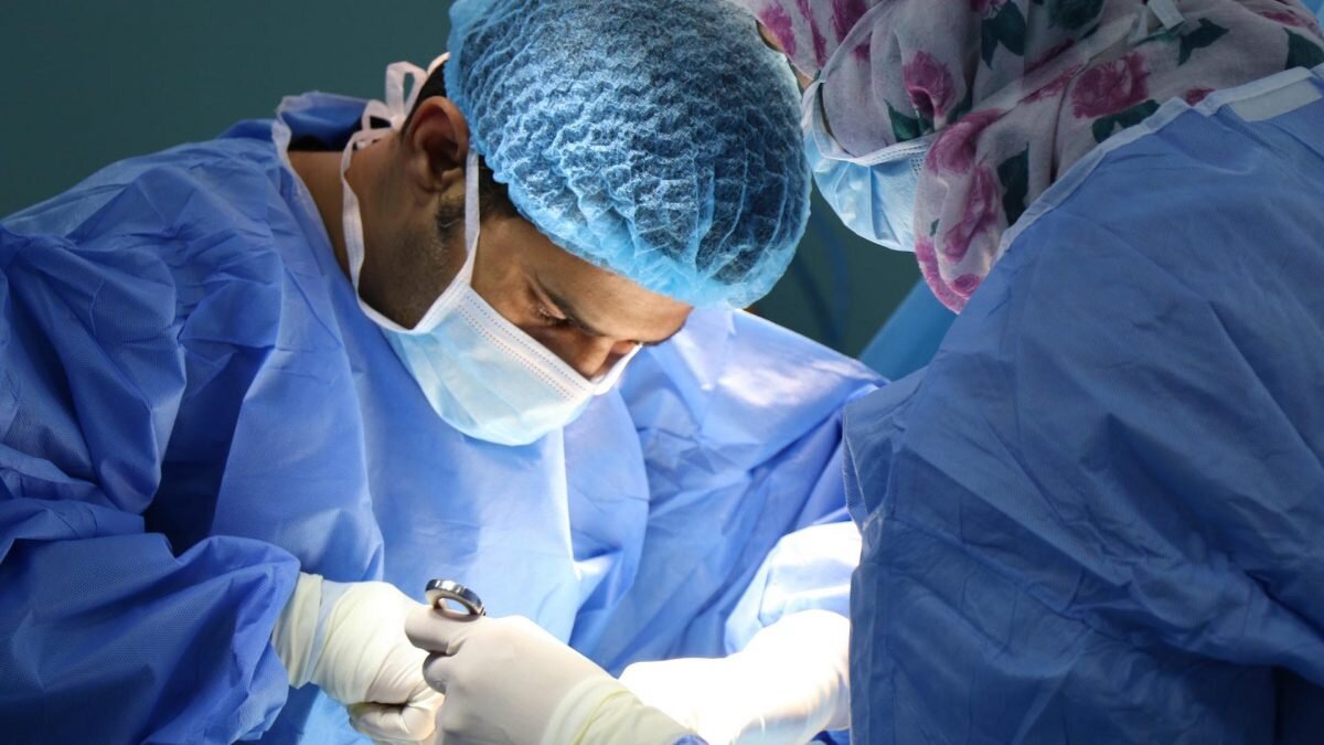    Фото: Unsplash Август Макаров