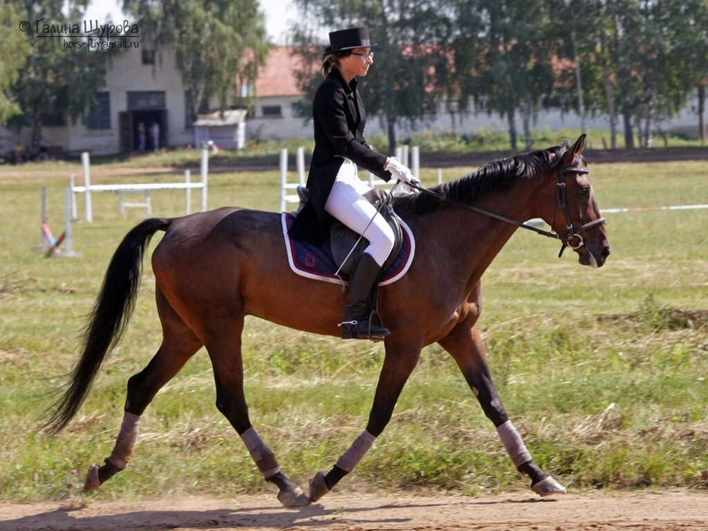 Тот исторический выезд. Фото Галины Щуровой