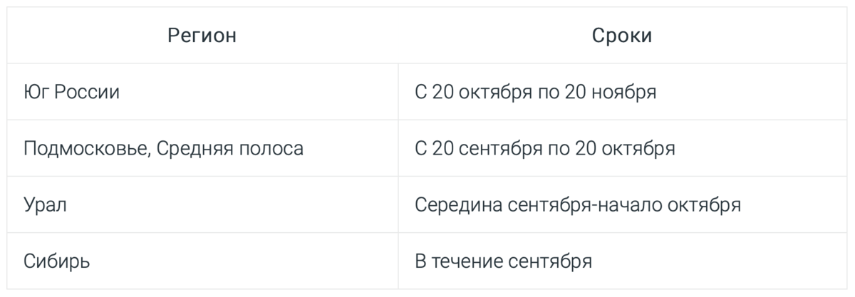 Рассказываем обо всех тонкостях выращивания озимого лука. Даем полезные советы по выбору сорта, подготовке посадочного материала, уходу за луковыми.-4