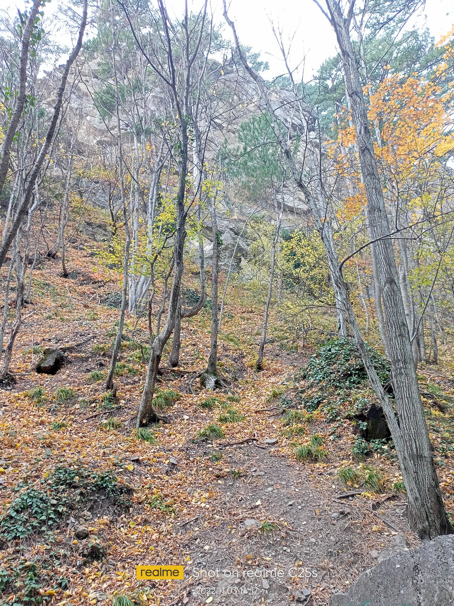 Фото автора. Туман