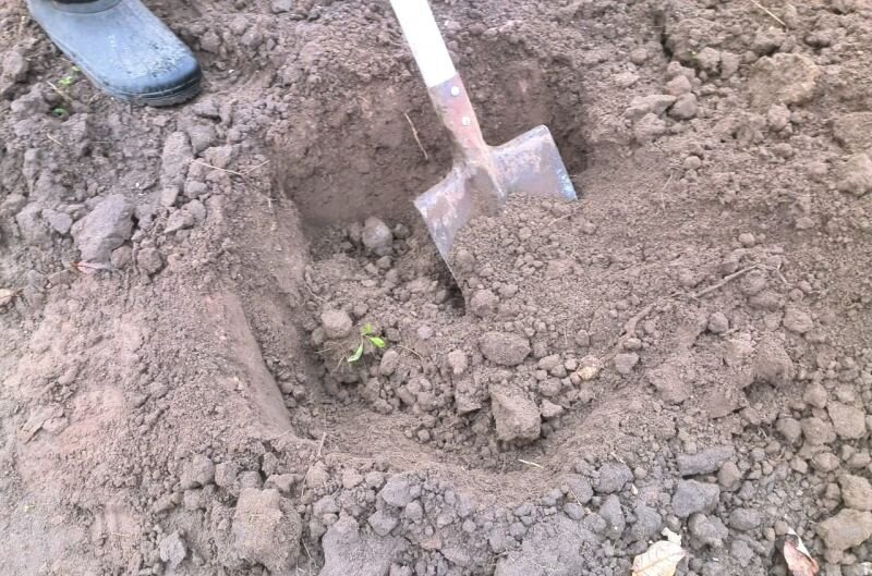 Копаем яму для приготовления ловушки.