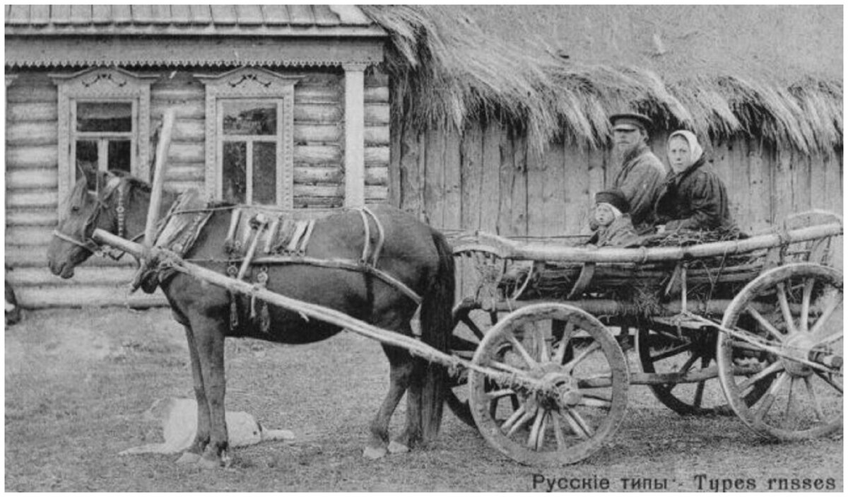 В 1897 году за 100 долларов можно было купить прекрасную лошадь. 
Общественное достояние