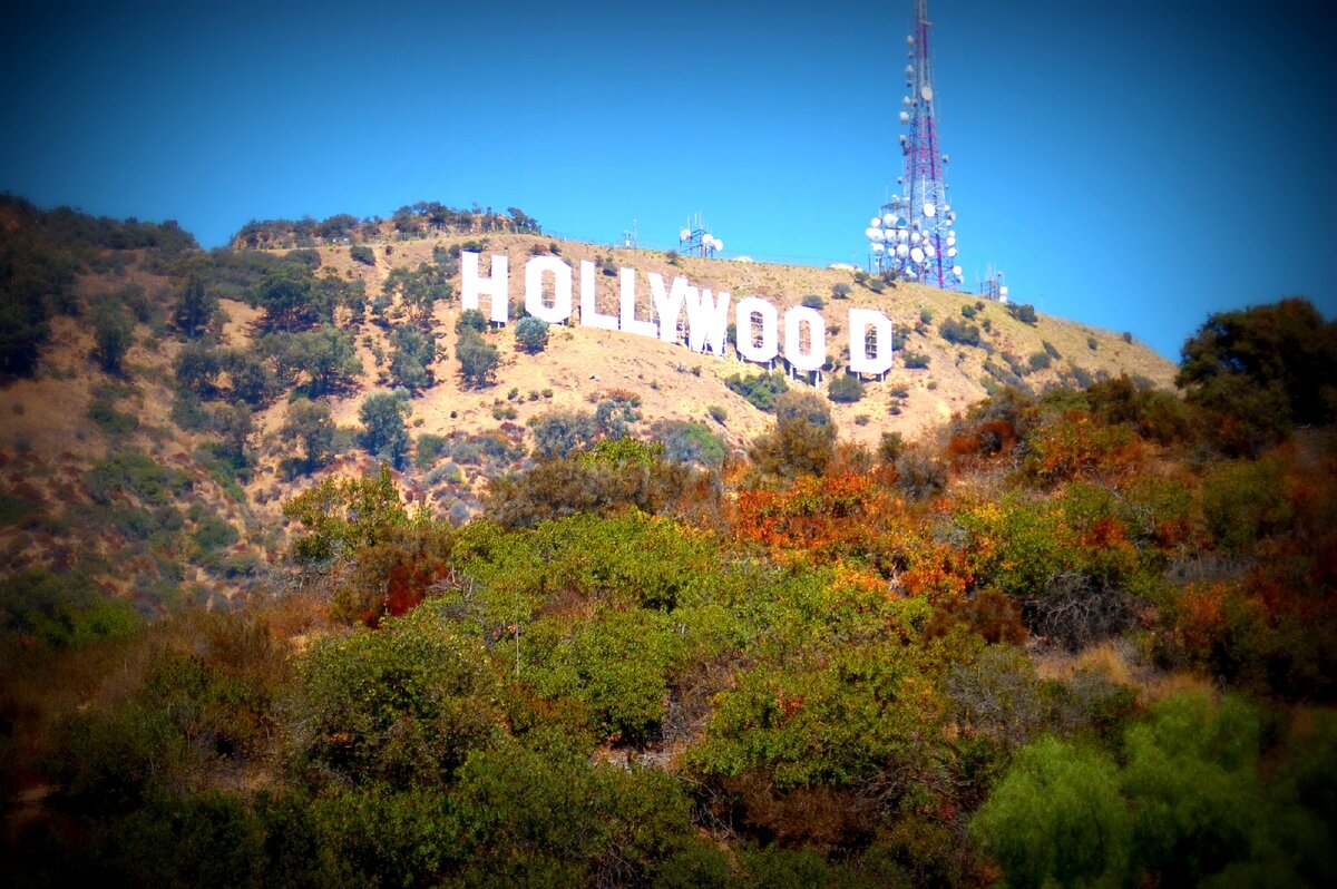 Холливуд. Лос Анджелес голливудские холмы. Голливуд (Калифорния). Калифорния надпись Голливуд. Холмы Hollywood в Калифорнии.