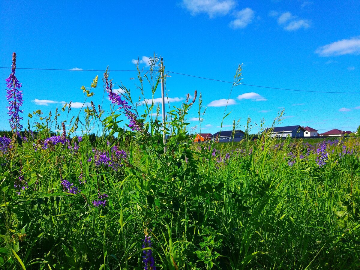 Природа Перми