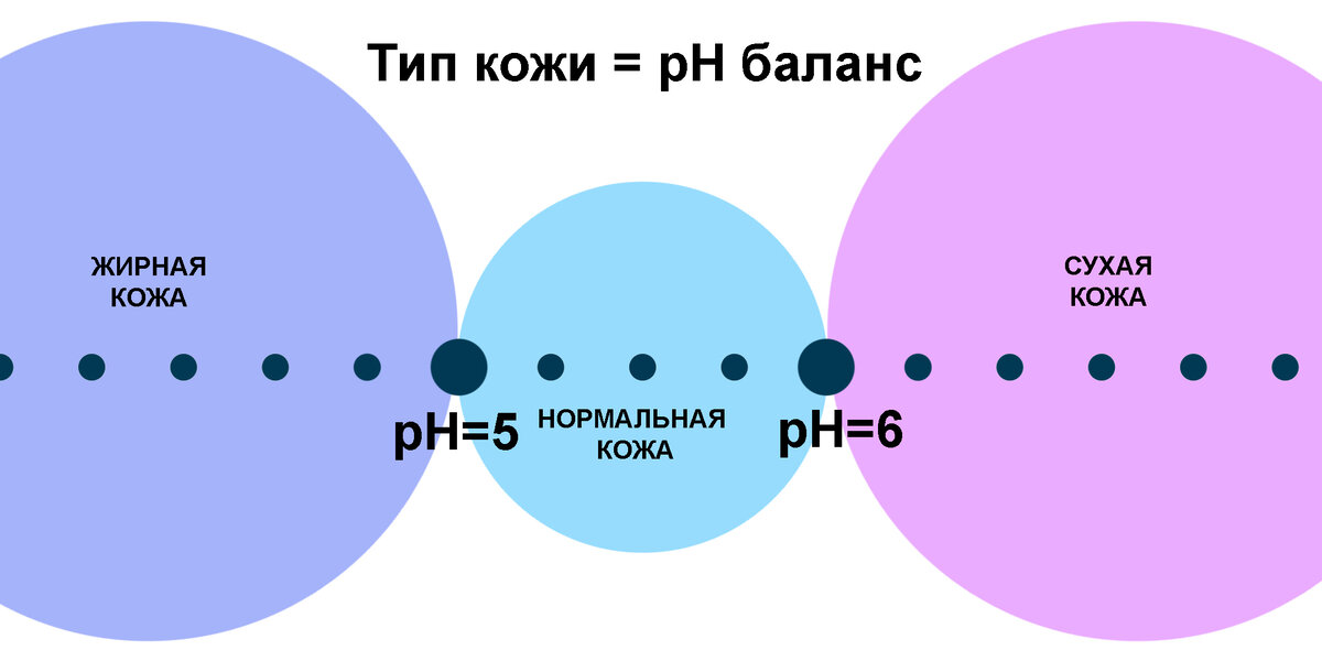 рН кожи определяет её тип. Сухая кожа имеет более щелочной рН, а жирная – кислотный. (Иллюстрация автора. При использовании ставить ссылку.)