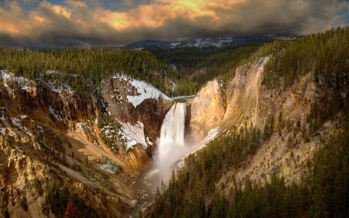 Яндекс картинки