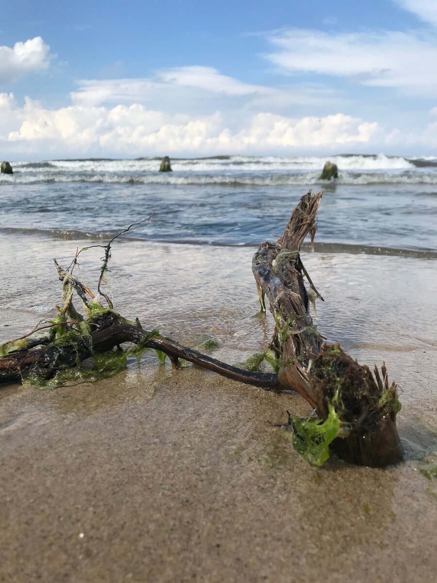В первые дня был штиль, а воскресенье порадовало волнами. Причём не такими, которые опасные. А такими, которые идеальные для купания.