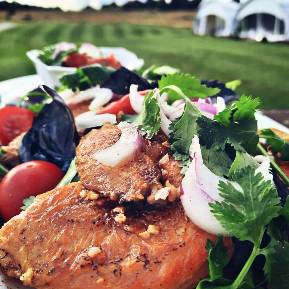 Цыплёнок Тапака