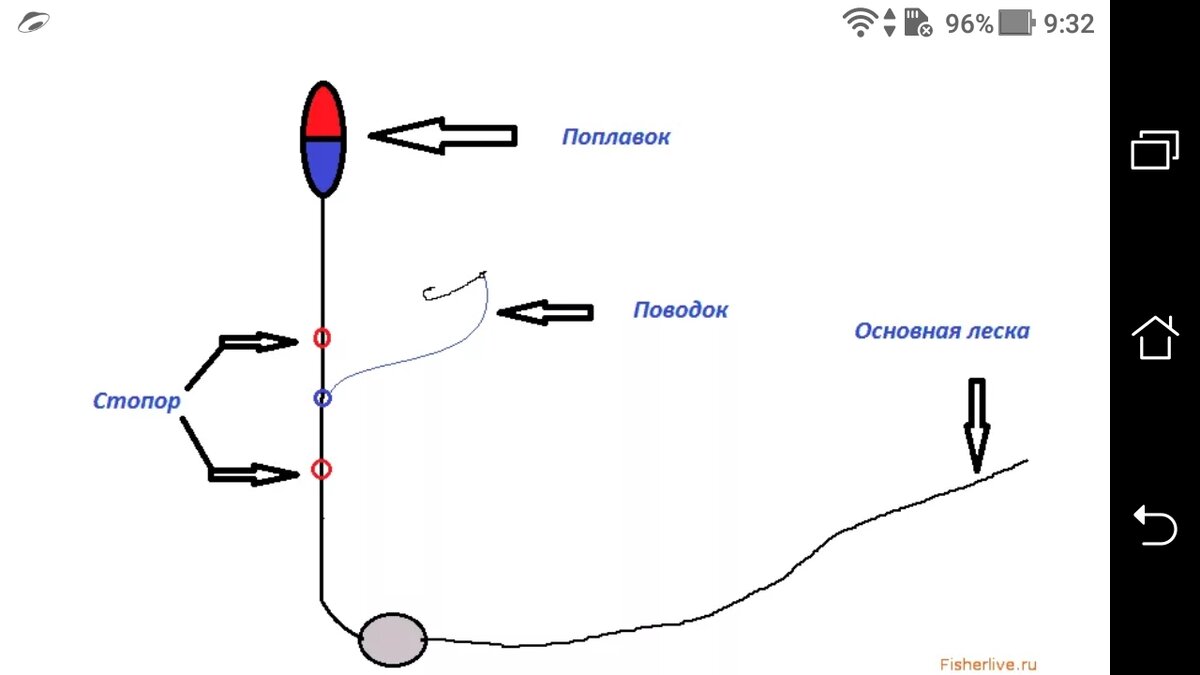 Ловля сома на живца. Оснастка донной поплавочной удочки. Схема фидерной снасти с поплавком. Схема поплавочной оснастки. Донка схема оснастки с поплавком.