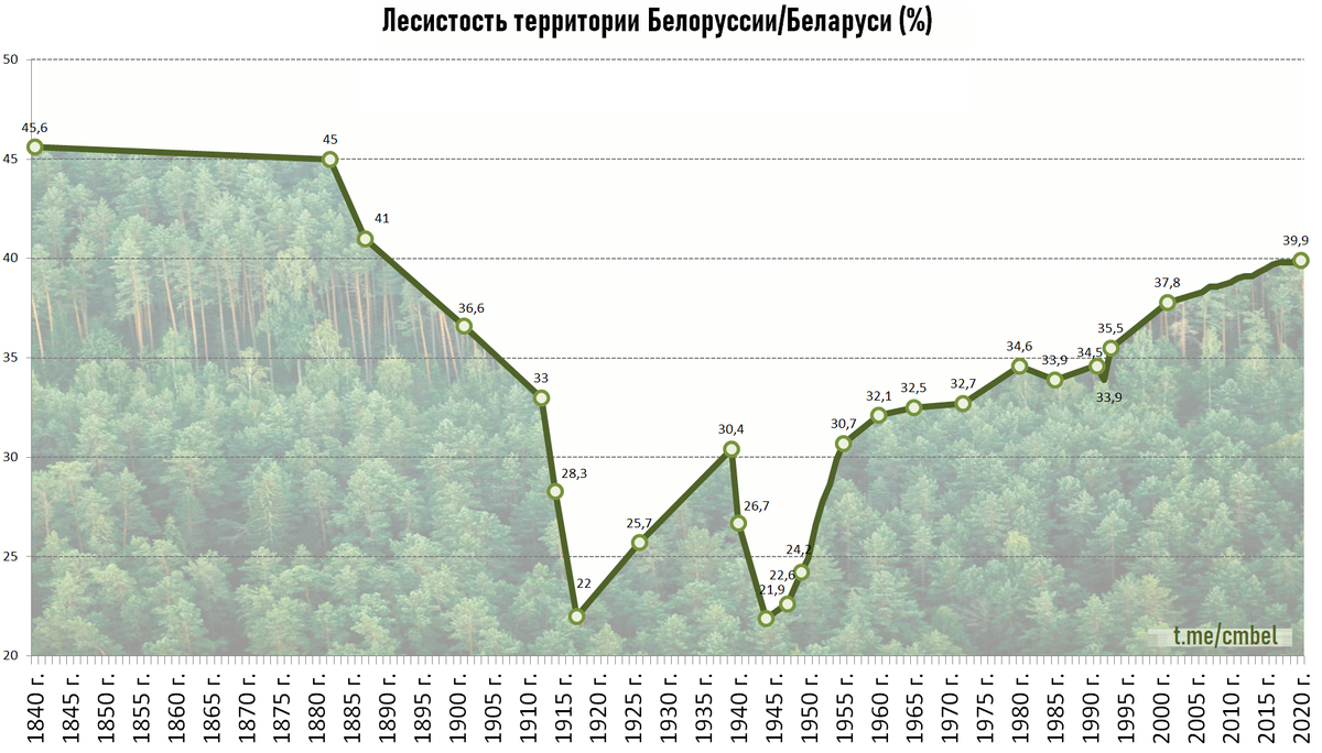 Что такое лесистость территории. Динамика лесистости России. Лесистость Беларуси. Лесистость областей Беларуси. Показатель лесистости в Беларуси.