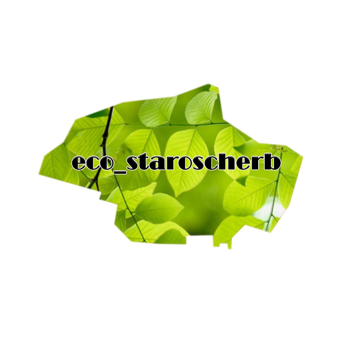 Это мой инстаграм:https://www.instagram.com/eco_staroscherb/