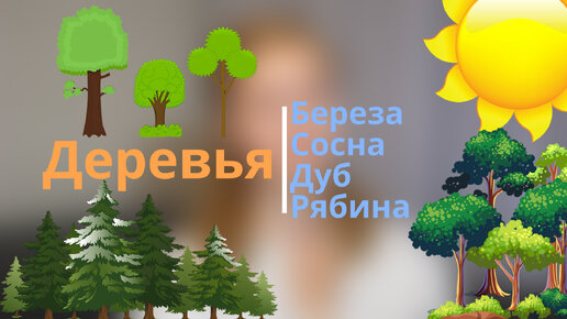 «Дневник.ру» запускает профориентационный онлайн-курс для школьников по IT-профессиям