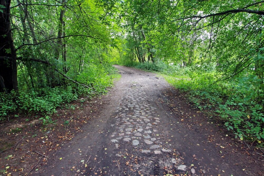 Фото Дмитрия Ратникова