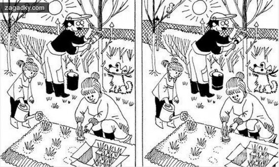 взято с интернета