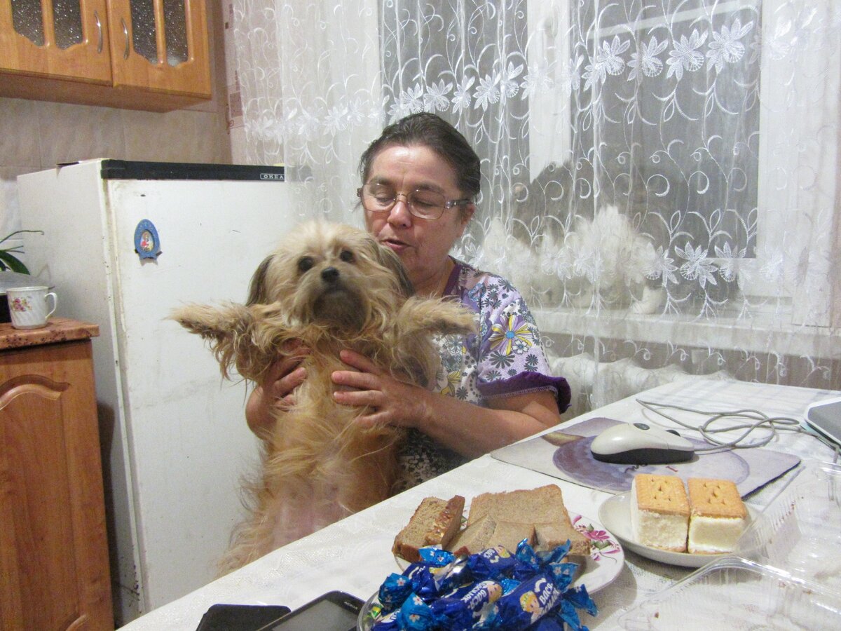 Ее лохматые волосишки абсолютно не  грели голое пузико, что было проблемой  в холода