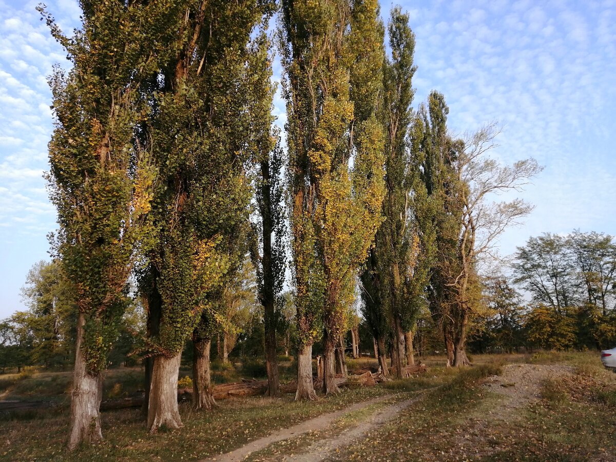 Краснодарский край, октябрь