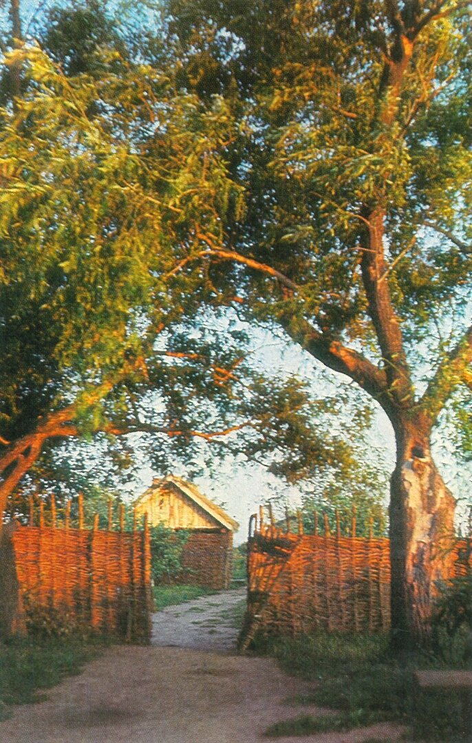 На усадьбе Есениных. Фото А. Крылова