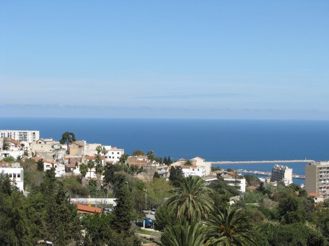 Друзья, листайте галерею