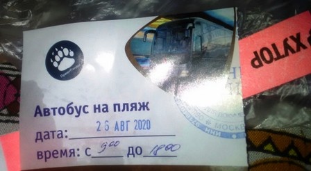 Билет на автобус и браслет - пропуск на пляж у моря.Значок  с лапой - бренд отеля.