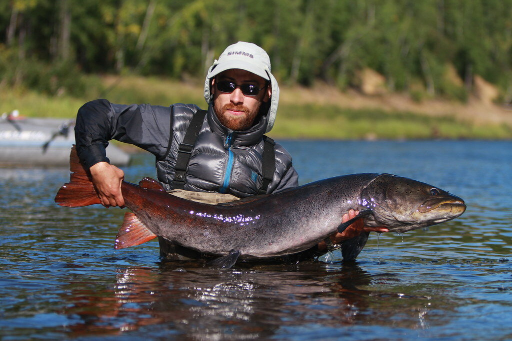 Фото из интернета