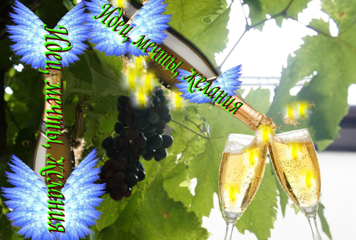 мечты сбываются, желания исполняются 