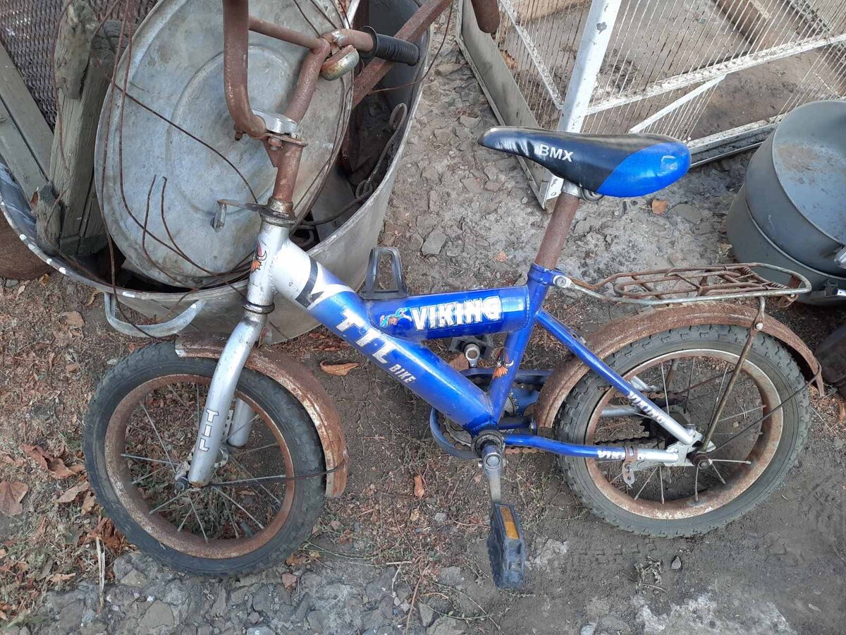 Фото из личного архива.