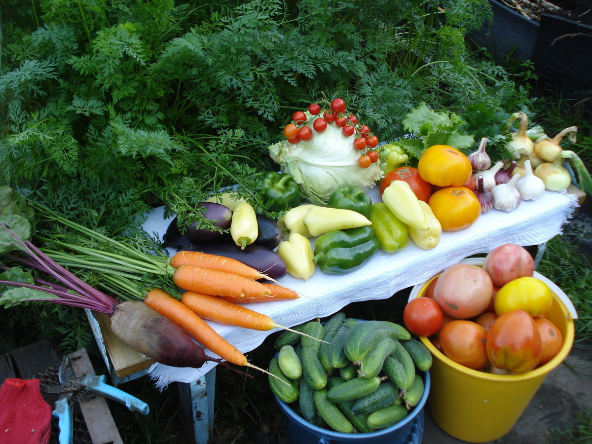 Мы к ним со своим урожаем.....