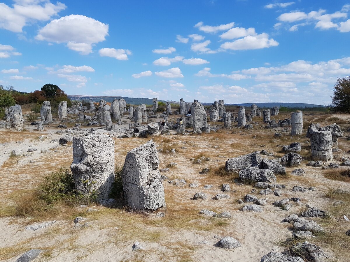 Волшебный каменный лес🌳