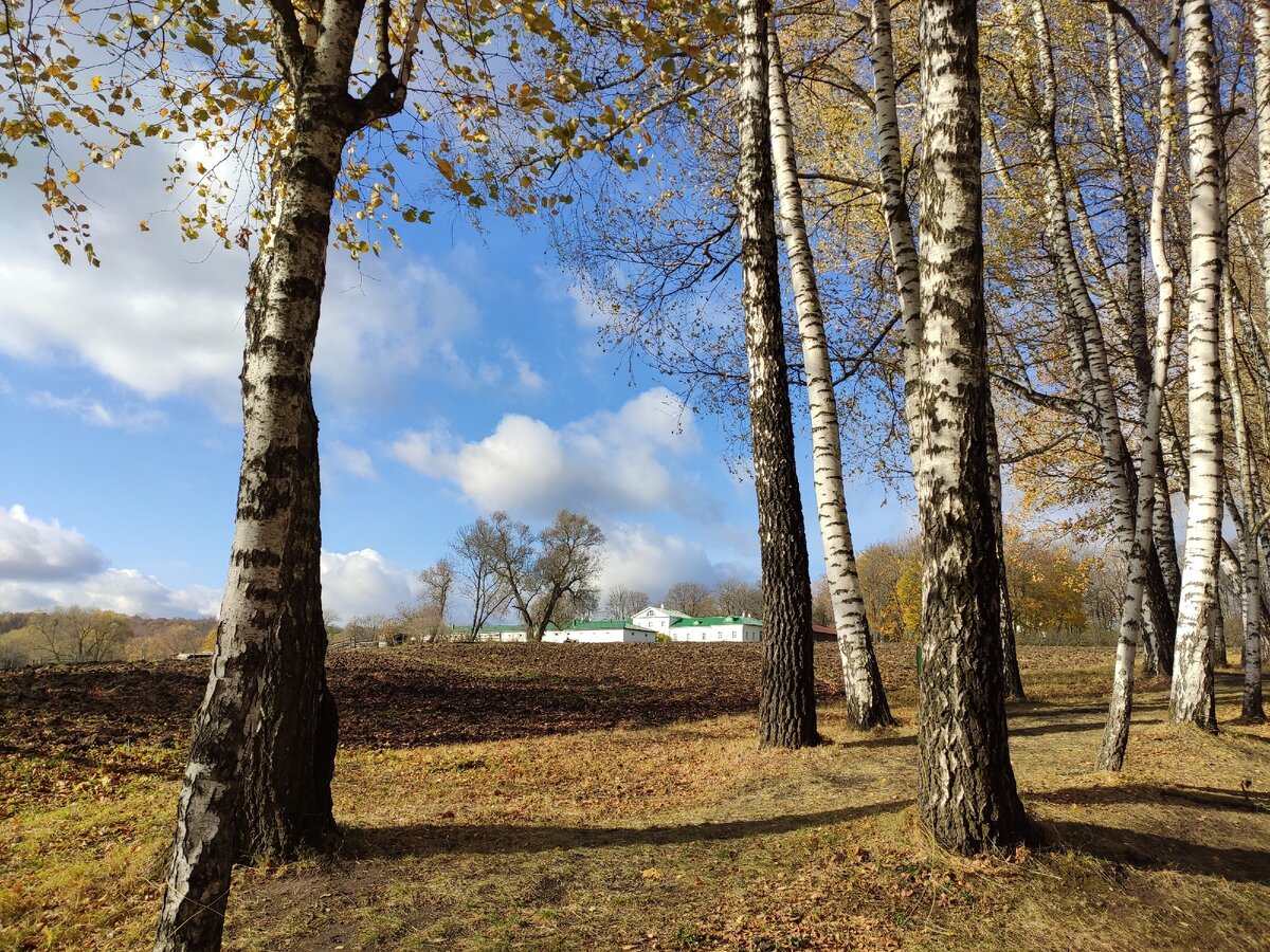 Дом в Ясной Поляне. Фото автора канала Здесь и сейчас