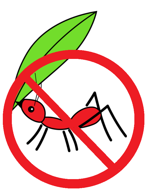 иллюстрация автора