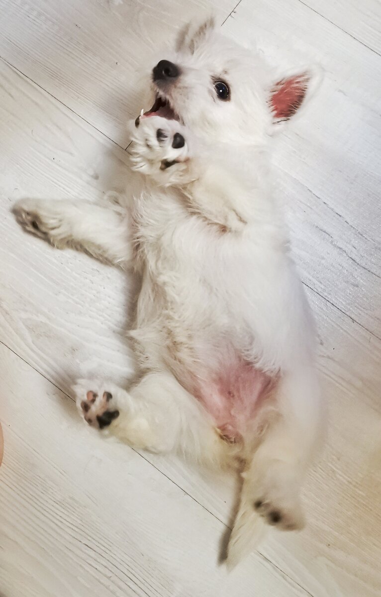 А это она совсем малышка