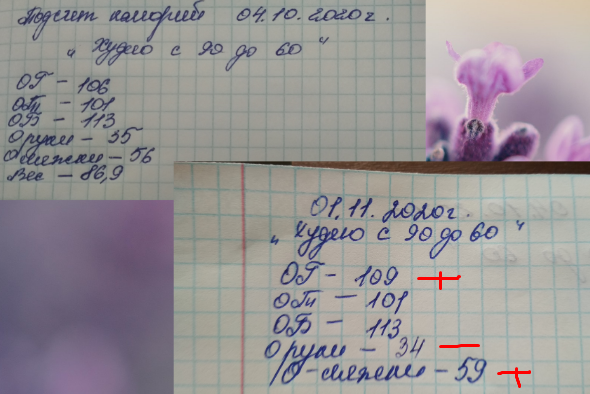 Получилась какая-то белиберда. Или тогда не правильно обмерила себя, или имеем то, что имеем.