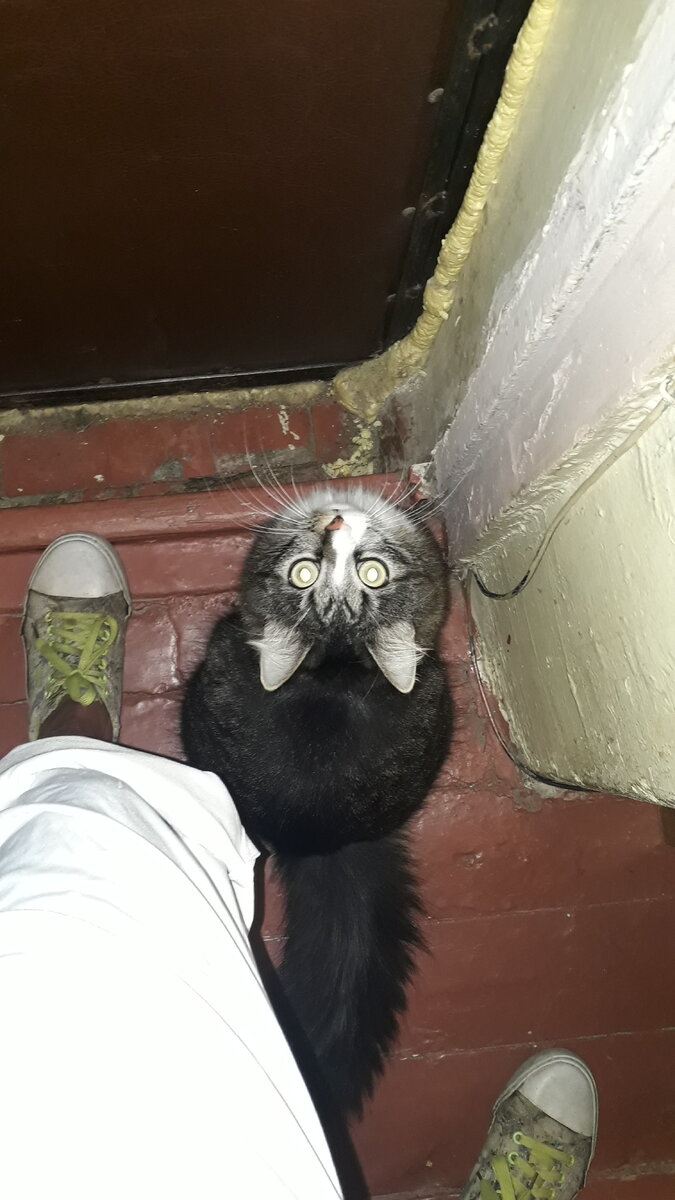 я хочу, мне по делам надо!