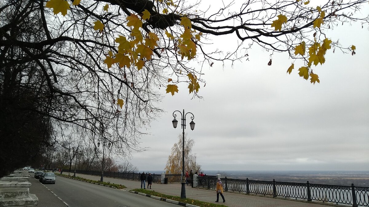 Первое ноября 2020 года на Верхневолжской набережной. Обычная осенняя погода...