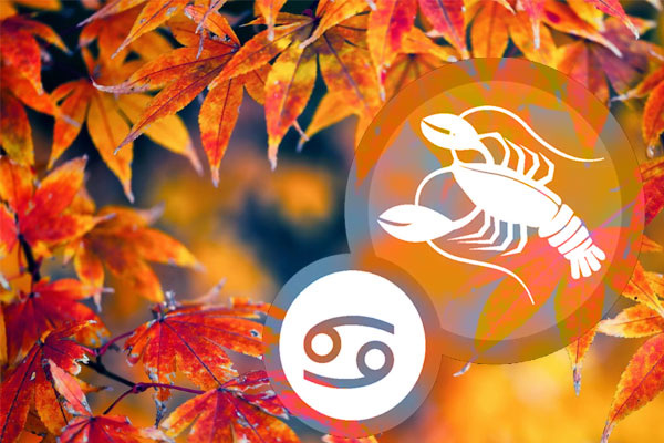 Коллаж автора. Исходники изображения взяты из открытого доступа