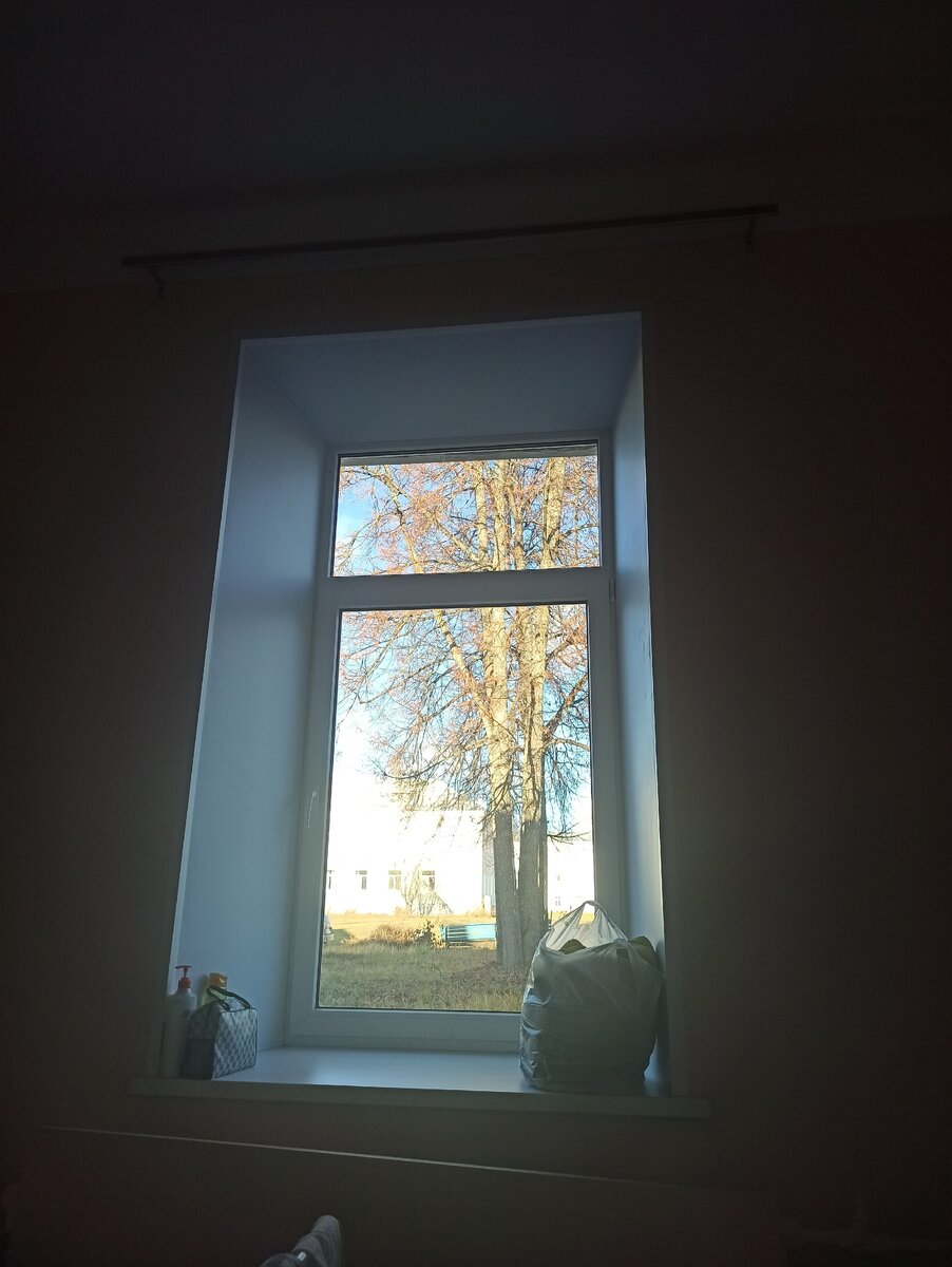 Вид из окна