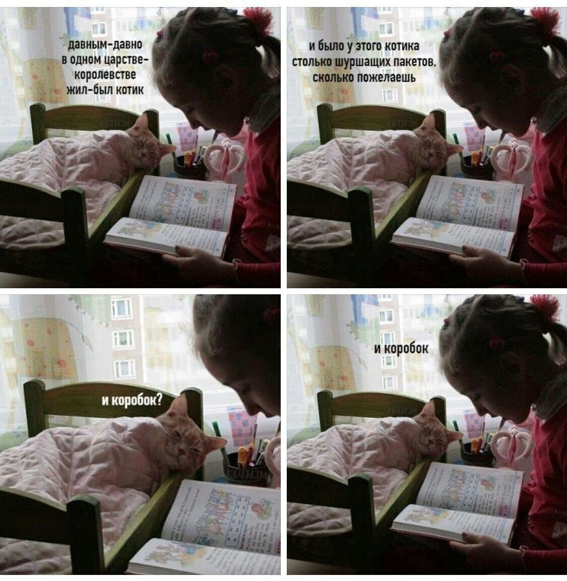 О чем сказки для котиков...