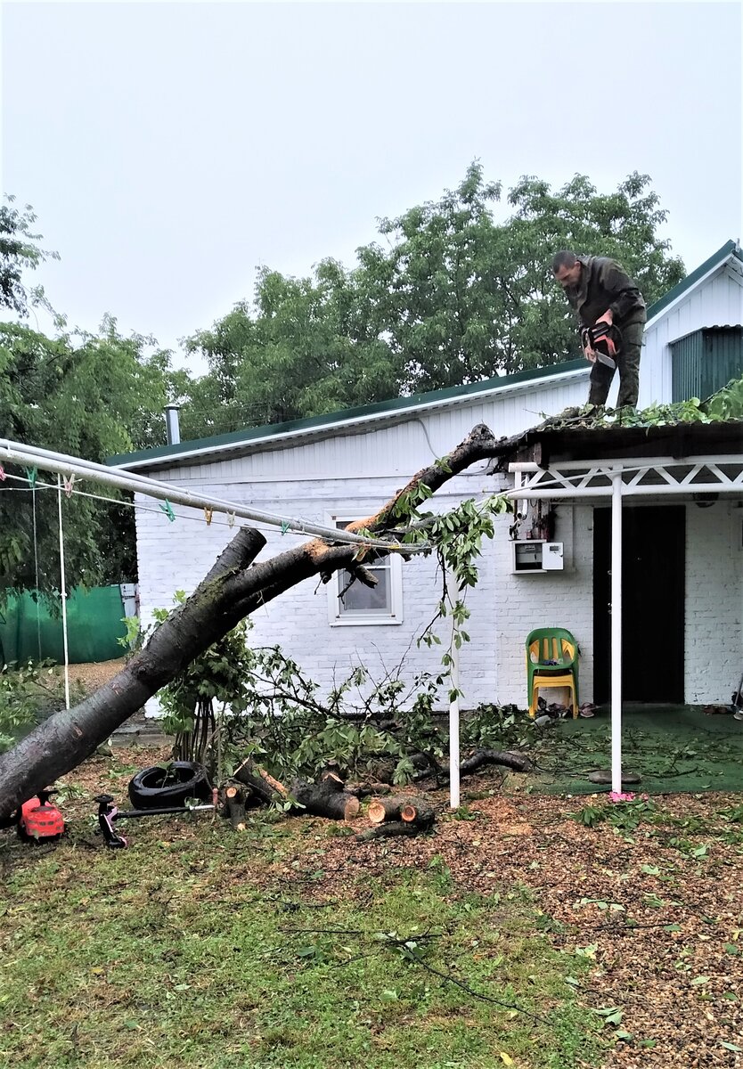 В июне 2019 года  мы остались без газа. Произошел разрыв газовой трубы из-за упавшего дерева. С этого момента мы задумались стоит  ли подключать газ или перейти на электрическое отопление? 