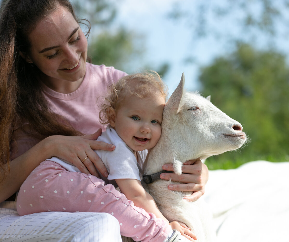 5 причин выбрать смесь на козьем молоке 🐐 | MAMAKO® — бережное детское  питание на козьем молоке | Дзен