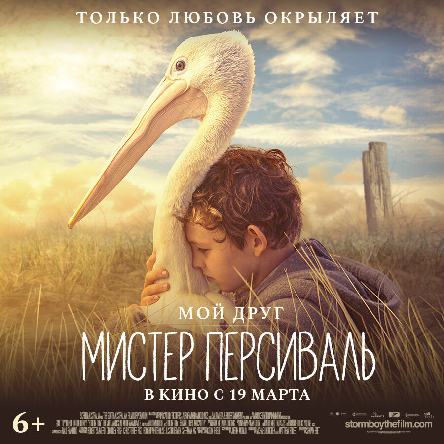 Майкл Кингли — успешный бизнесмен и счастливый отец семейства. Но однажды его настигают образы из детства, которое он провел на спрятанном от всего мира побережье океана. Он должен рассказать своей внучке необыкновенную историю мальчика по прозвищу Штормик и осиротевшего пеликана — Мистера Персиваля. Историю опасных приключений и удивительной дружбы, которая повлияла на всю его жизнь.