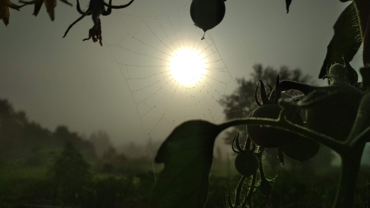 Фото из личного архива