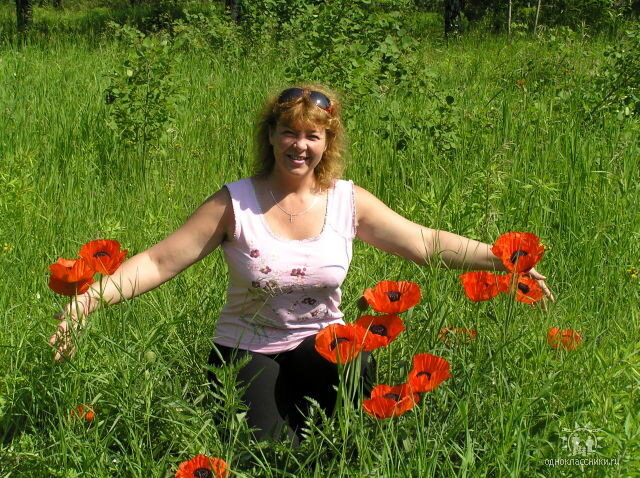 Фото из личного альбома. Алые маки ...