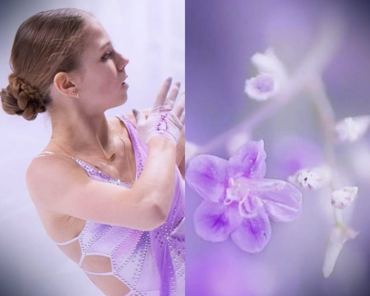 Изображение взято из открытых источников