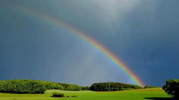 Фото из свободных источников