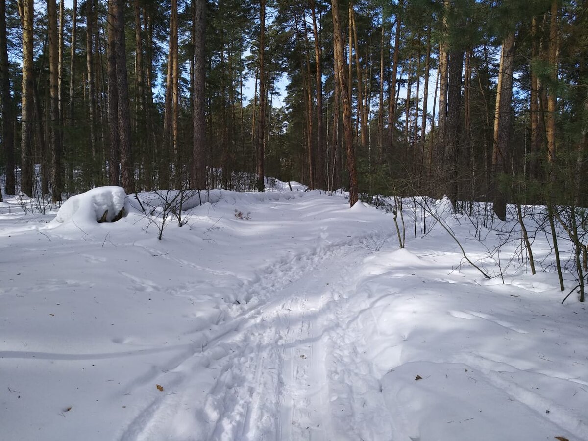 Лебяжьи озера Казань ватрушка