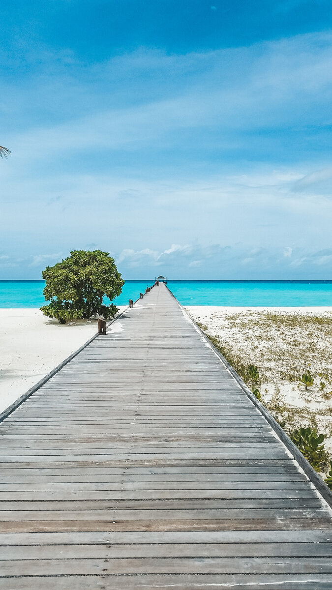 Добро пожаловать на остров мечты