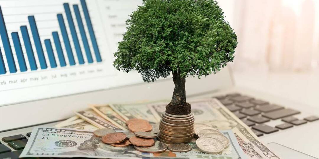 Как составить инвестиционное предложение инвестору